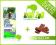 PURINA DOG CHOW ADULT LAMB 15kg +10x GRATIS
