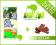PURINA DOG CHOW ADULT CHICKEN 15kg + 10x GRATIS