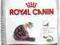 Royal Canin Ageing +12 - 400g + 400g GRATIS