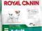 ROYAL CANIN MINI ADULT 1 KG YORK SHIH-TZU na wagę