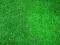 Wykładzina sztuczna trawa szer.2 m. wys. runa.16mm