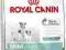 Royal Canin Mini Starter Mother Babydog 8,5kg +DOS
