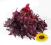 Hibiskus kandyzowany 200g. PROMOCJE - GRATISY