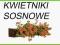 Kwietnik RP-05 brąz 84 cm z drewna sosnowego !HIT