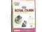 ROYAL CANIN KITTEN PERSIAN 32 400G + 4 GRATISY