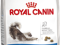 Royal Canin Indoor Long Hair 35 - 4kg.