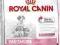 ROYAL CANIN STARTER MEDIUM 20 kg + gratisy !!!