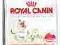 Royal Canin Babycat34 4kg  POMÓŻ rottka.pl