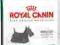 ROYAL CANIN Mini Dermacomfort 10 kg rottka.pl