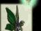 Cynowy Elf, skrzydełka zielone w stylu Tiffany
