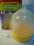Pułapka na insekty