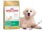 Royal Canin Golden Retriver Junior - 12kg