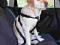 TRIXIE Szelki samochodowe XS psa york chihuahua