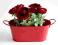 *dekomotyw* Doniczka ocynk osłonka kwiatki czerwon *dekomotyw* Doniczka ocynk osłonka kwiatki czerwon