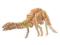 Puzzle_drewniane_ 3 D_Apatosaurus