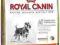 Royal Canin MINIATURE SCHNAUZER 3kg Warszawa