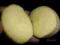 ziemniaki jadalne Vineta i Aster 0,35/ kg swochowo