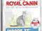 ROYAL CANIN INDOR, 2kg,+ GRATIS 400g  Indoor!!!