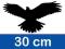 naklejki odstraszające PTAKI 30 cm - naklejka ptak