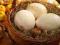 Strusie jaja Wydmuszki Wielkanoc Decoupage pisanki