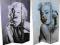 PIĘKNY DUŻY PARAWAN MARYLIN MONROE  #292