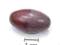 Shivalingam Sziwalingam Shiva Sziwa lingam 1103b