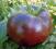 Pomidor duży owoc mięsisty smaczny180g CZEKOLADOWY