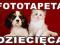 Fototapeta Fototapety Dziecięce Zwierzęta