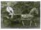 Chłopiec na bryczce z koniem z lat 30-tych