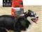 ACANA SPORT AGILITY 13,5 KG + 2,5 KG GRATIS