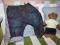 ZARA rewelacyjne jeansy 68 (3-6m)