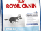 ROYAL CANIN MAXI JUNIOR ACTIVE 15 KG