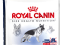 ROYAL CANIN MAXI MATURE 2x15 KG