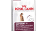 ROYAL CANIN EXIGENT AROMATIC 33 2KG +4 GRATISY