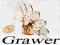 PREZENT FIGURKA PAW SWAROVSKI + GRAWER GRATIS!