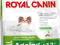 ROYAL CANIN X-SMALL AGEING  500+500gr - PSY DO 4kg