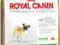 ROYAL CANIN  MOPS  PUG ADULT  2kg + KURIER