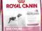 ROYAL CANIN MEDIUM JUNIOR 4kg + KURIER GRATIS