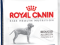 Royal Canin MAXI DERMACOMFORT,12kg.