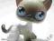 LITTLEST PET SHOP Hasbro kotek + akcesoria