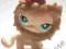 LITTLEST PET SHOP Hasbro kotek + akcesoria