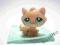 LITTLEST PET SHOP Hasbro kotek + akcesoria