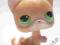 LITTLEST PET SHOP Hasbro kotek