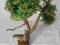 drzewko bonsai sztuczne,ozdoba okna, 40 cm