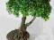 drzewko bonsai sztuczne,ozdoba okna, 52 cm