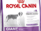 ROYAL CANIN GIANT JUNIOR 15KG