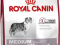 ROYAL CANIN MEDIUM STERILISED 2x12KG