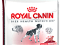 ROYAL CANIN MEDIUM ADULT 15KG