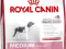 ROYAL CANIN MEDIUM JUNIOR 2x15KG