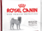 ROYAL CANIN MEDIUM DERMACOMFORT 24 - 2x10KG